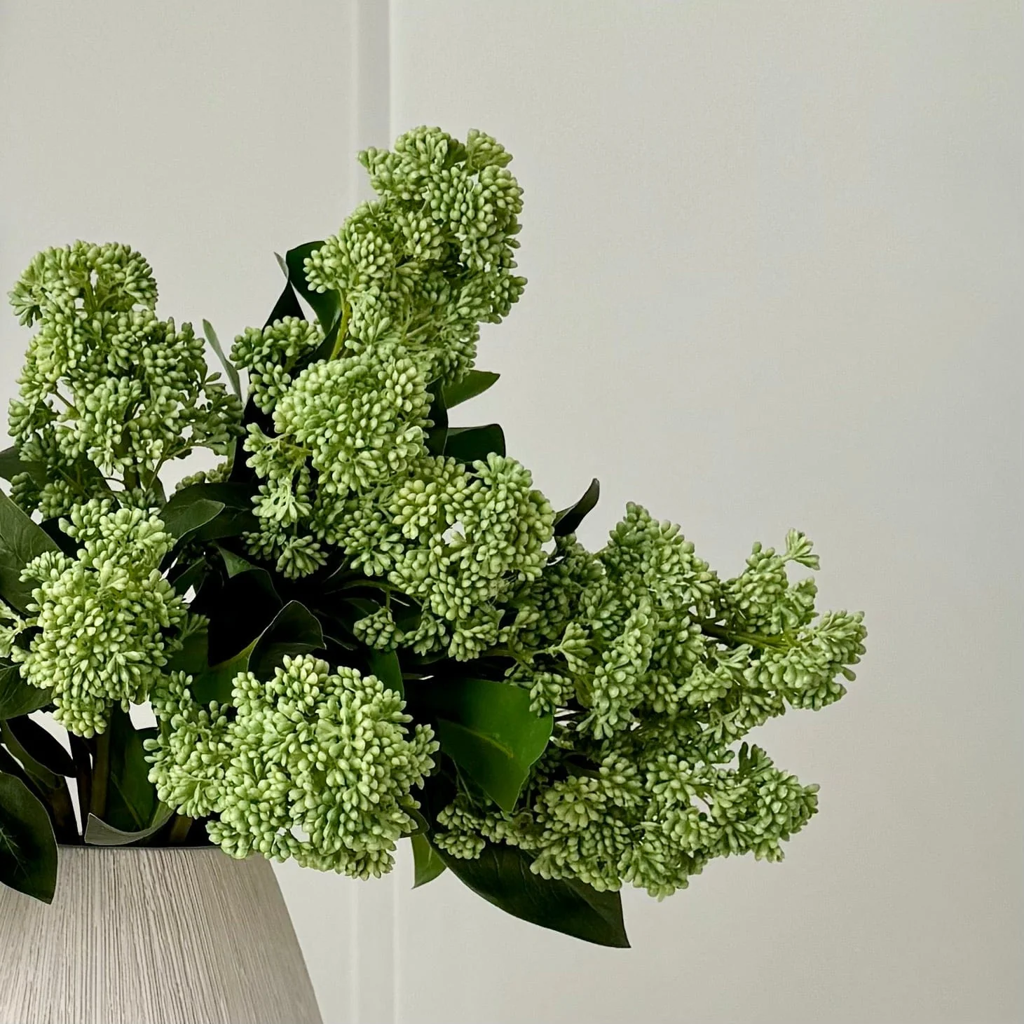 Artificial Green Skimmia - Image 3